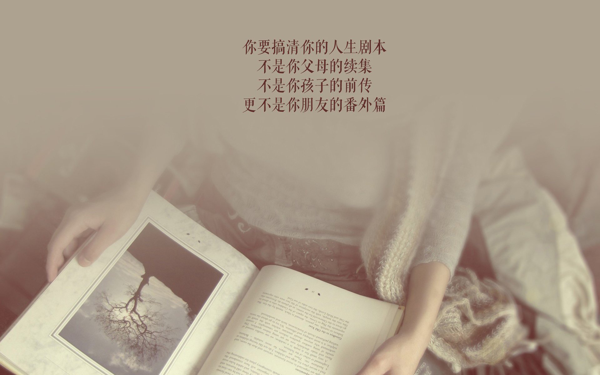伊朗球员用毯子盖住替补席，被误认为冬奥冰壶队，伊朗杯是什么