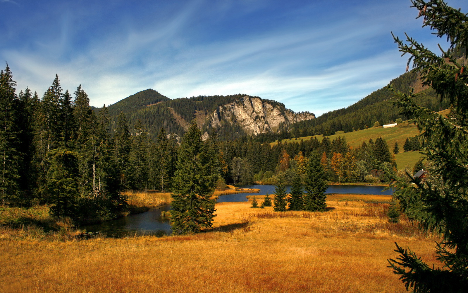 阿尔阿赫利与赞比亚俱乐部达成友谊赛协议,阿尔阿赫利亚冠