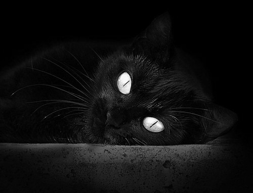 转换进攻中节奏变化如何引发失误,进攻转化率是什么意思