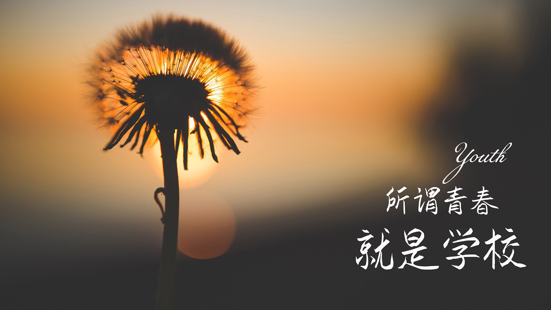 决赛现场帕金斯奋力拼搏，帕金斯集锦