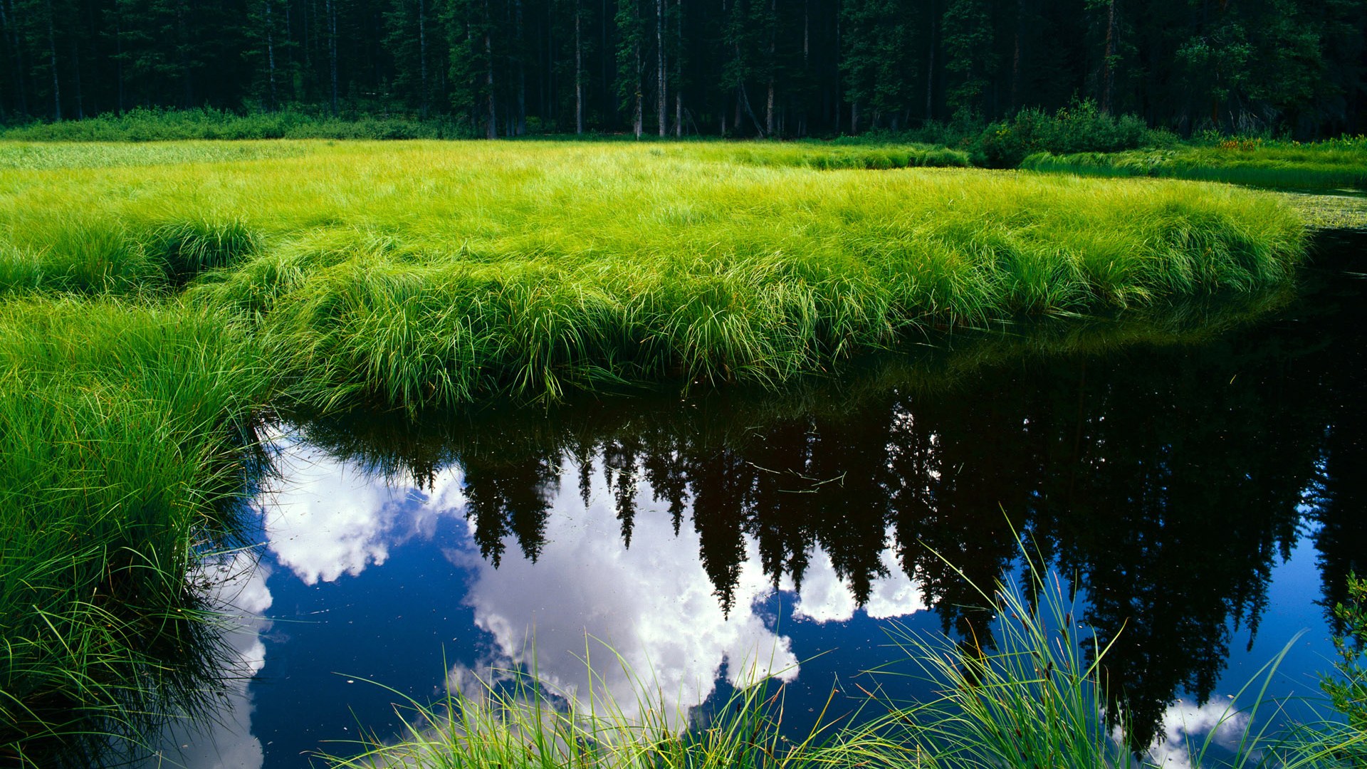 独行侠召开球员专题会议分析近期训练成果,独行侠队现役球员