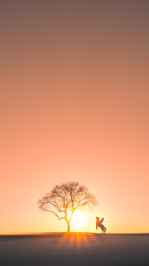职业联赛赞助计划多样化促进市场活力释放,职业联赛靠什么赚钱