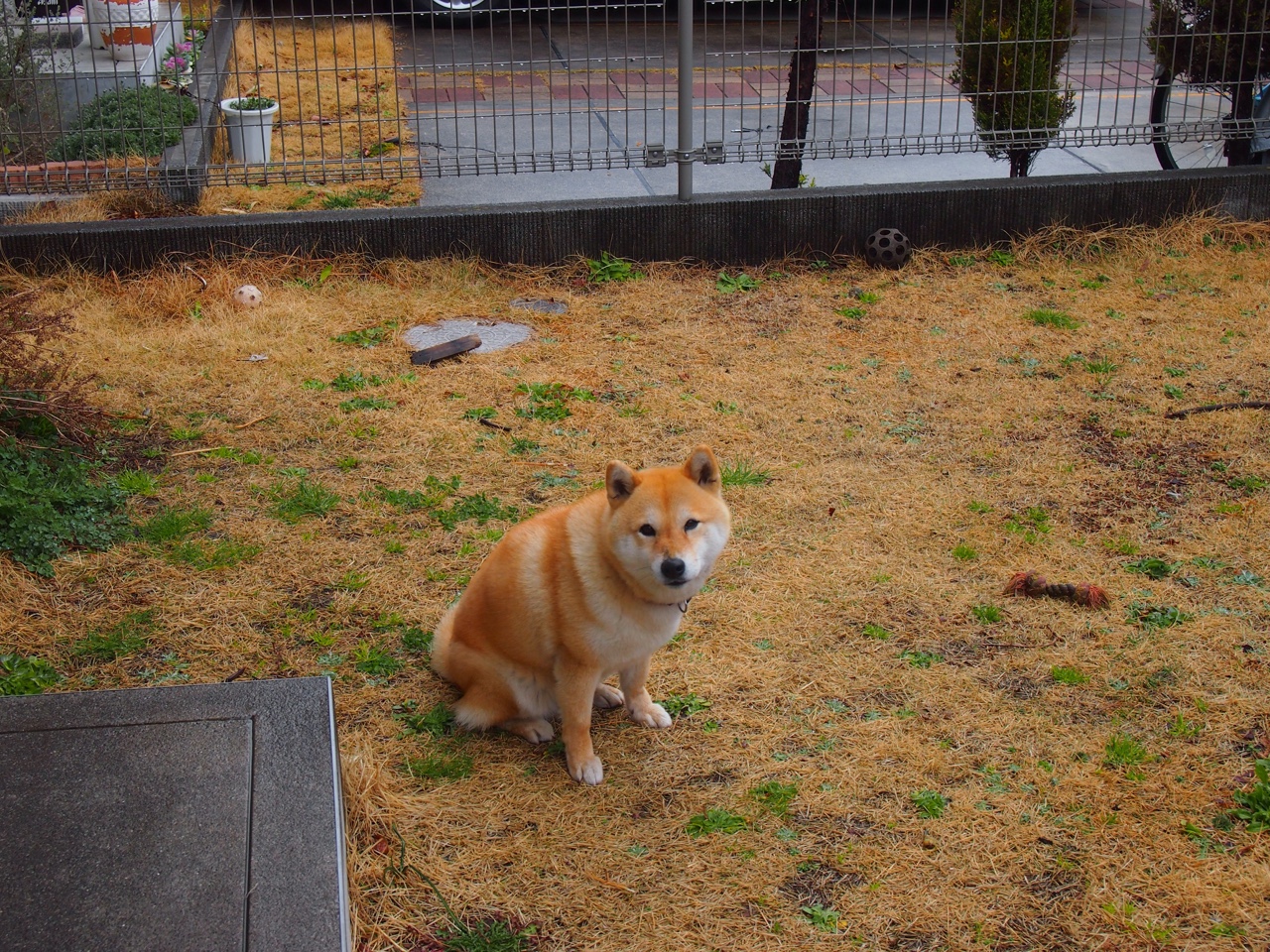 马克·阿特金森:凭借出色的速度,南非队成功突破对方防线,阿特马里克